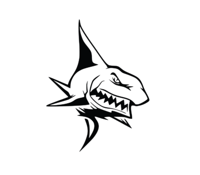 Shark Autó Matricá - Image 1