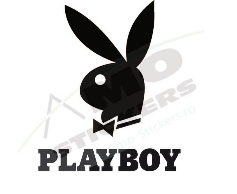 playboy-2.jpg Auto Play Boy matrica - Image 1